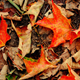 Illustration for article titled 611 Reasons Fall Is the Most Beautiful Season of All